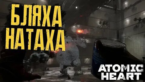 Полигон 12