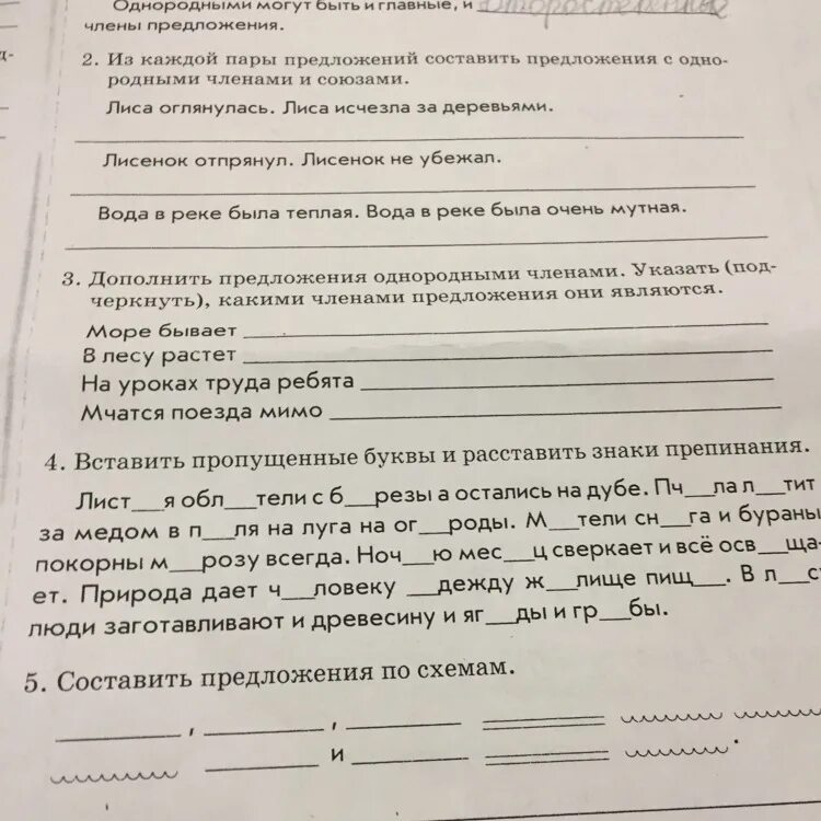 Тест дополните предложение. Тема 6 вариант 1 однородные предложения.