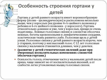 Характеристика гортани