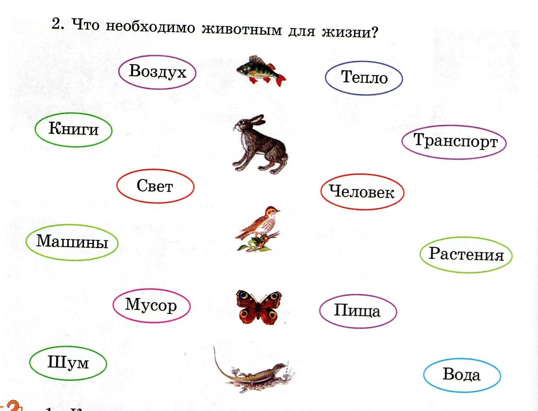 Творческие задания окружающий мир