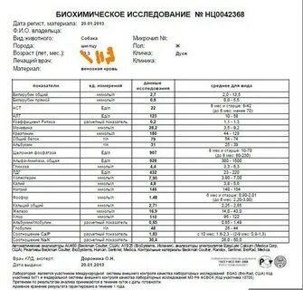 Фосфатаза в моче