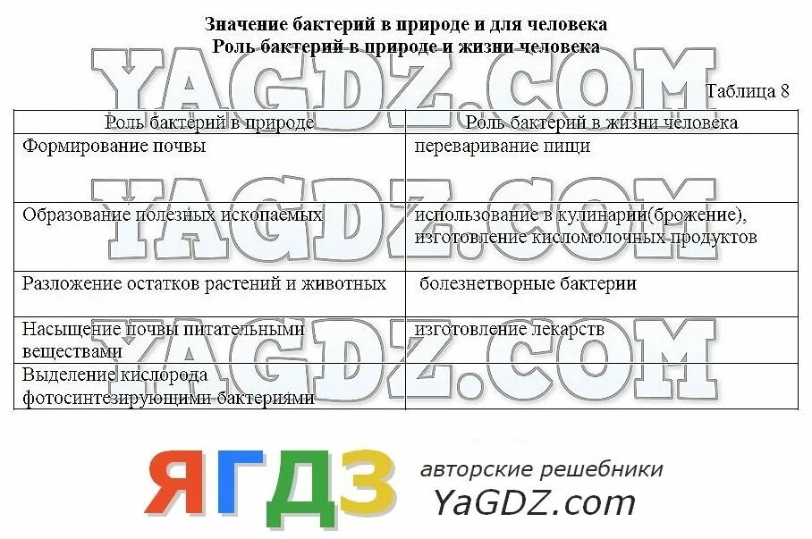 Процессы жизнедеятельности бактерий 5 класс. Роль бактерий в природе и жизни человека таблица. роль бактерий в природе и жизни человека 5 класс. значение бактерий 5 класс биология кратко. значение бактерий в природе и жизни человека 5 класс биология таблица.