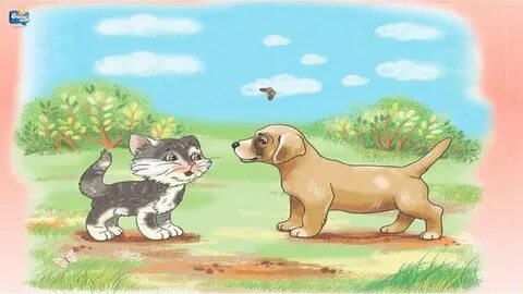 Американдық екі жұптың үйдегі видеосы