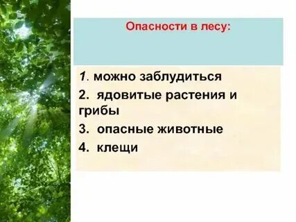 Карта по пожарной опасности. Какие производства находятся в лесном их опасности. Какие производства находятся в лесном их опасности. Проект о лесных опасностя. Опасности в лесу картинки.