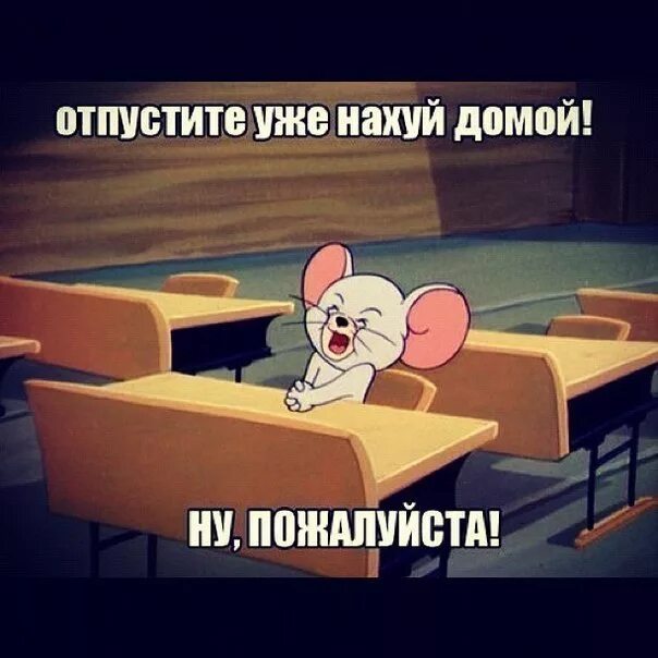 Я домой хочу видео мем JEERY(DANCE MOUSE)