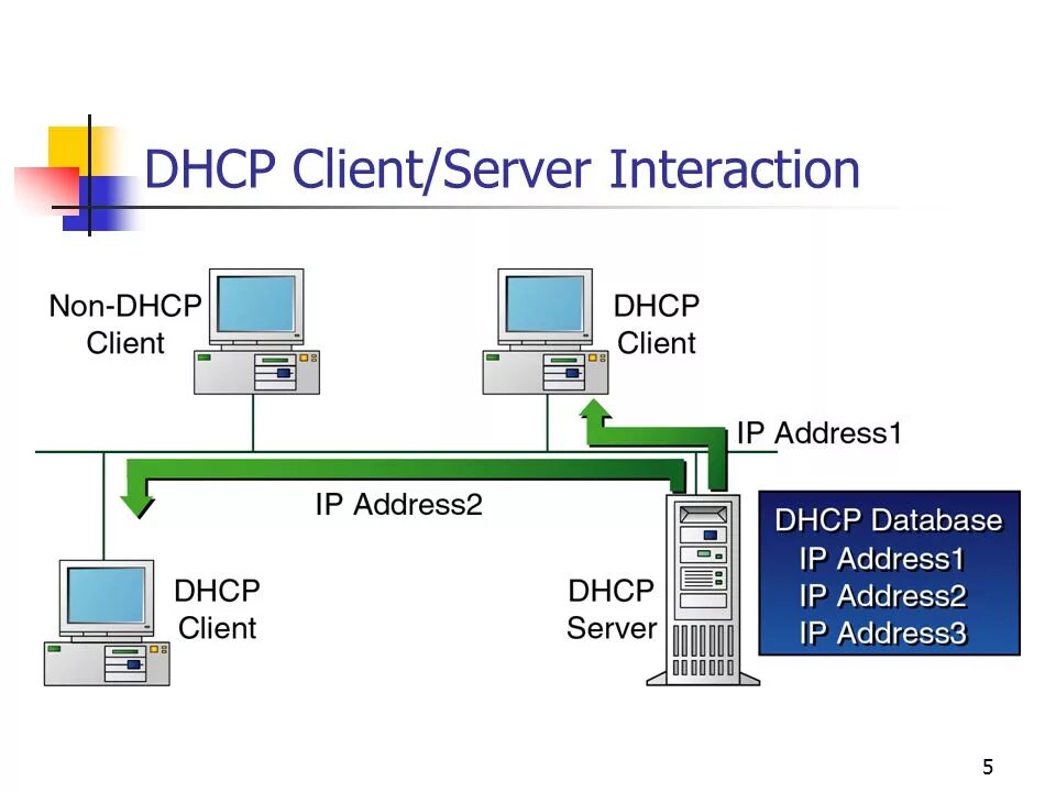 Dhcp server address