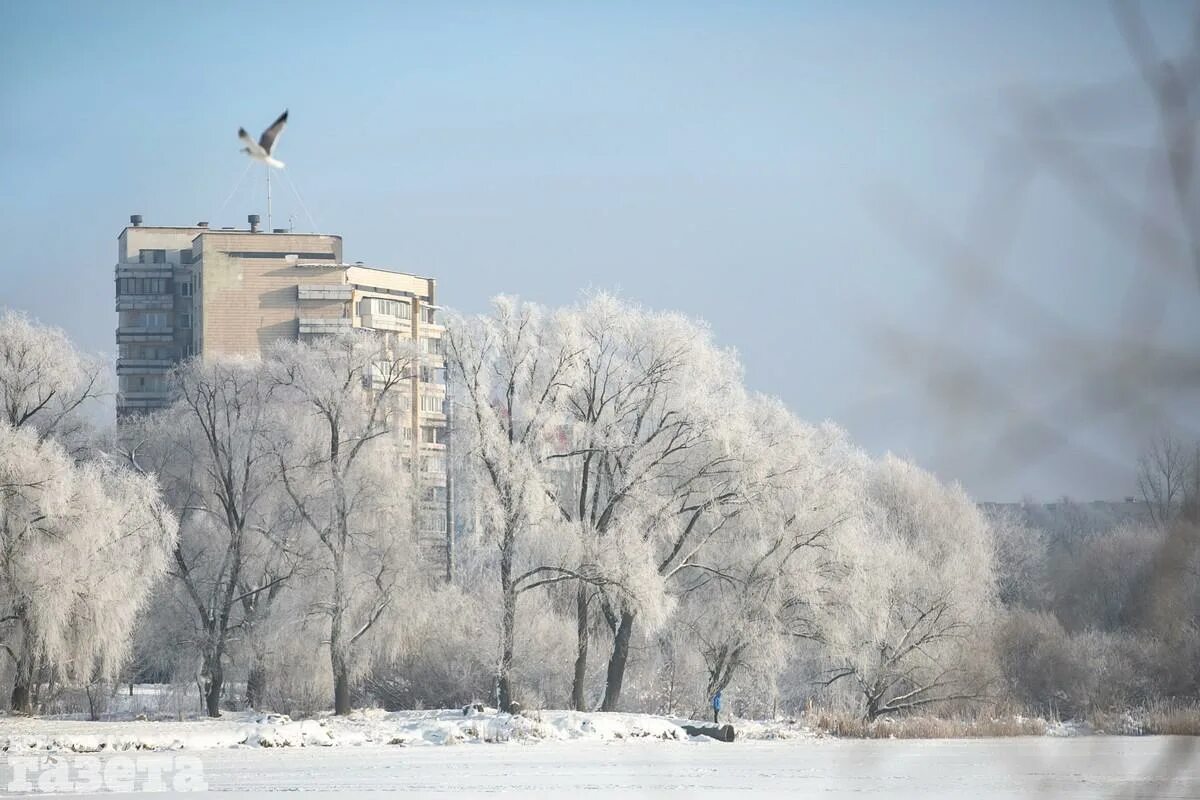 Прогноз на неделю брест. Брест в феврале фото. брест в феврале фото хорошего качества.