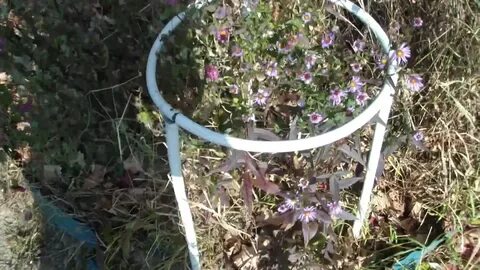 Когда нужно ставить подпорку для пионов