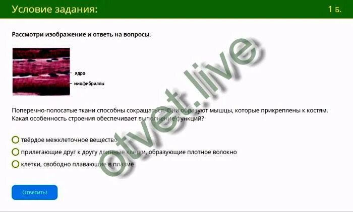 Какая особенность строения обеспечивает выполнение функций