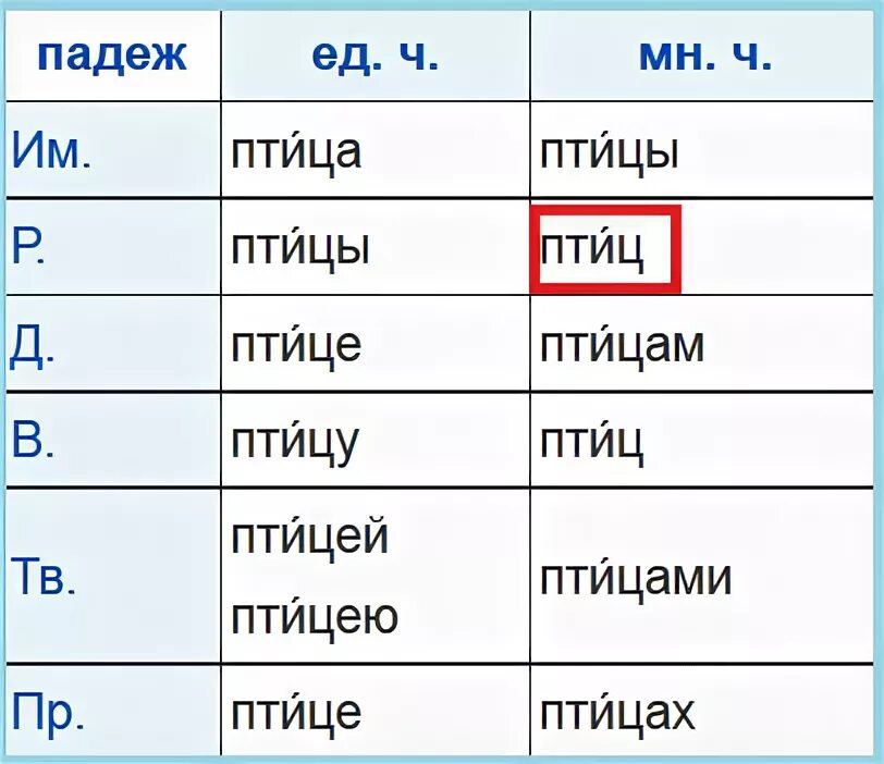 Птички какой падеж. Птица по падежам. Склонение слова птицы.