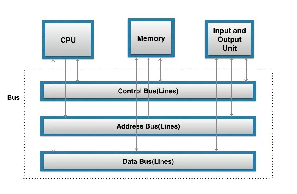 Bus input. Bus in computer. cpu bus. bus_(computing). расшифровка bus информатика.