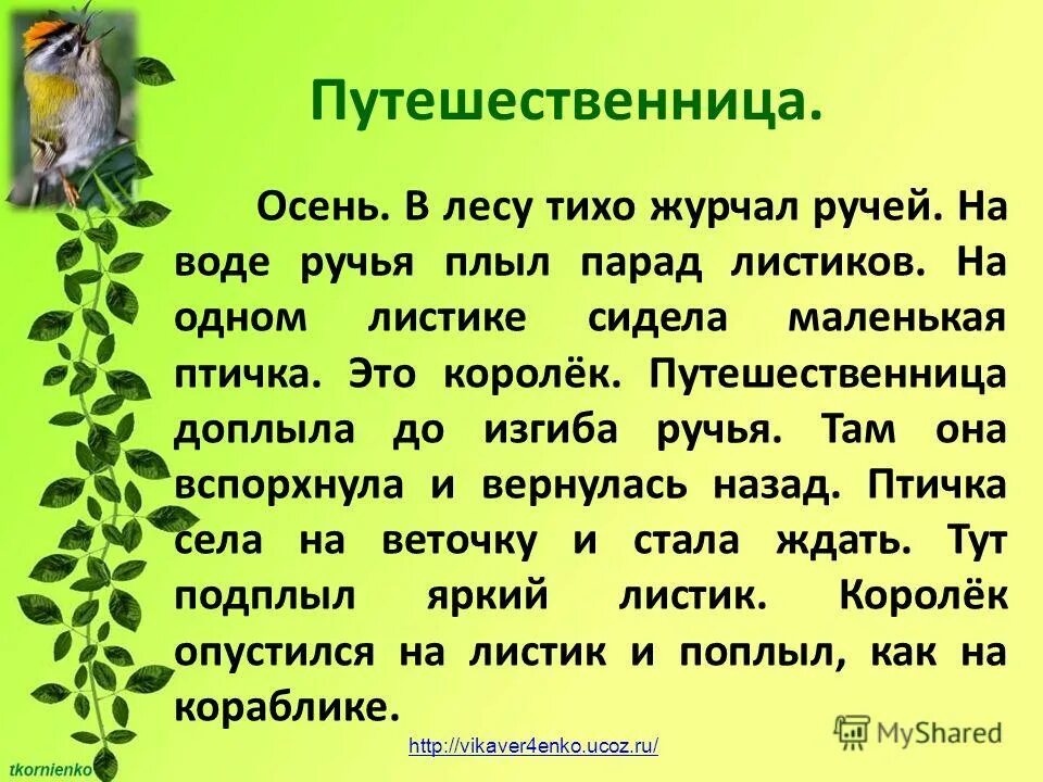 В лесу было тихо но в поле. В лесу тихо журчал ручей. Тихо в лесу. Осень журчал ручей на воде парад листиков. Изложение путешественница королёк.