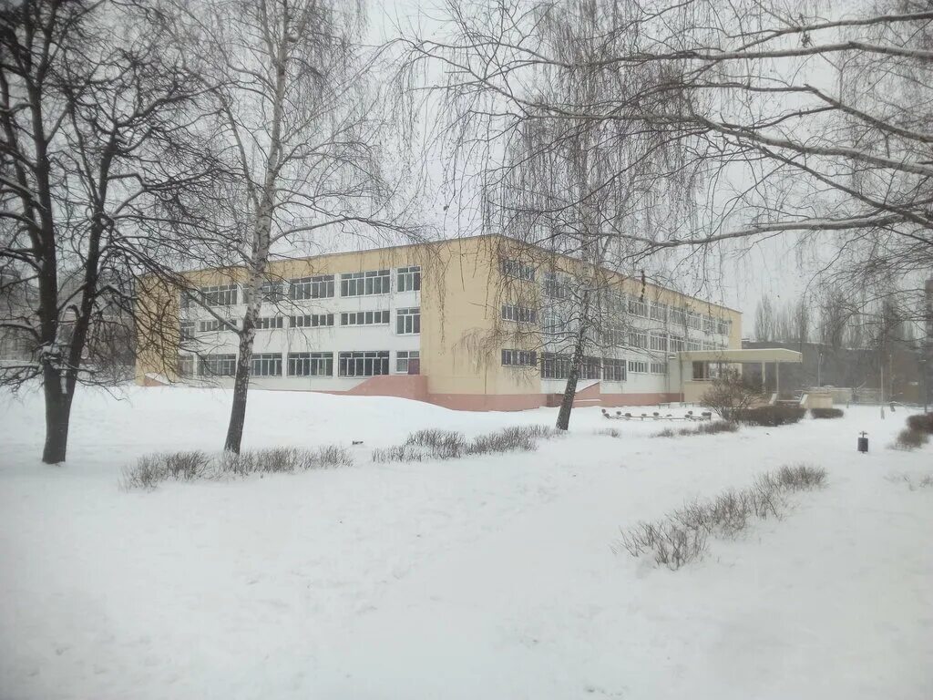 Гимназия номер 1 липецк. Гимназия 64 уфа учителя. Гимназия 64 уфа. Гимназия 64 липецк. Гимназия 64 отзывы.