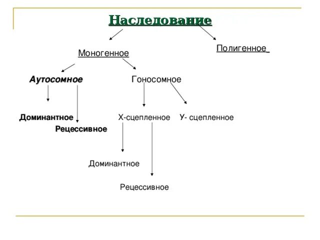 Моногенный тип наследования. Моногенный тип наследования