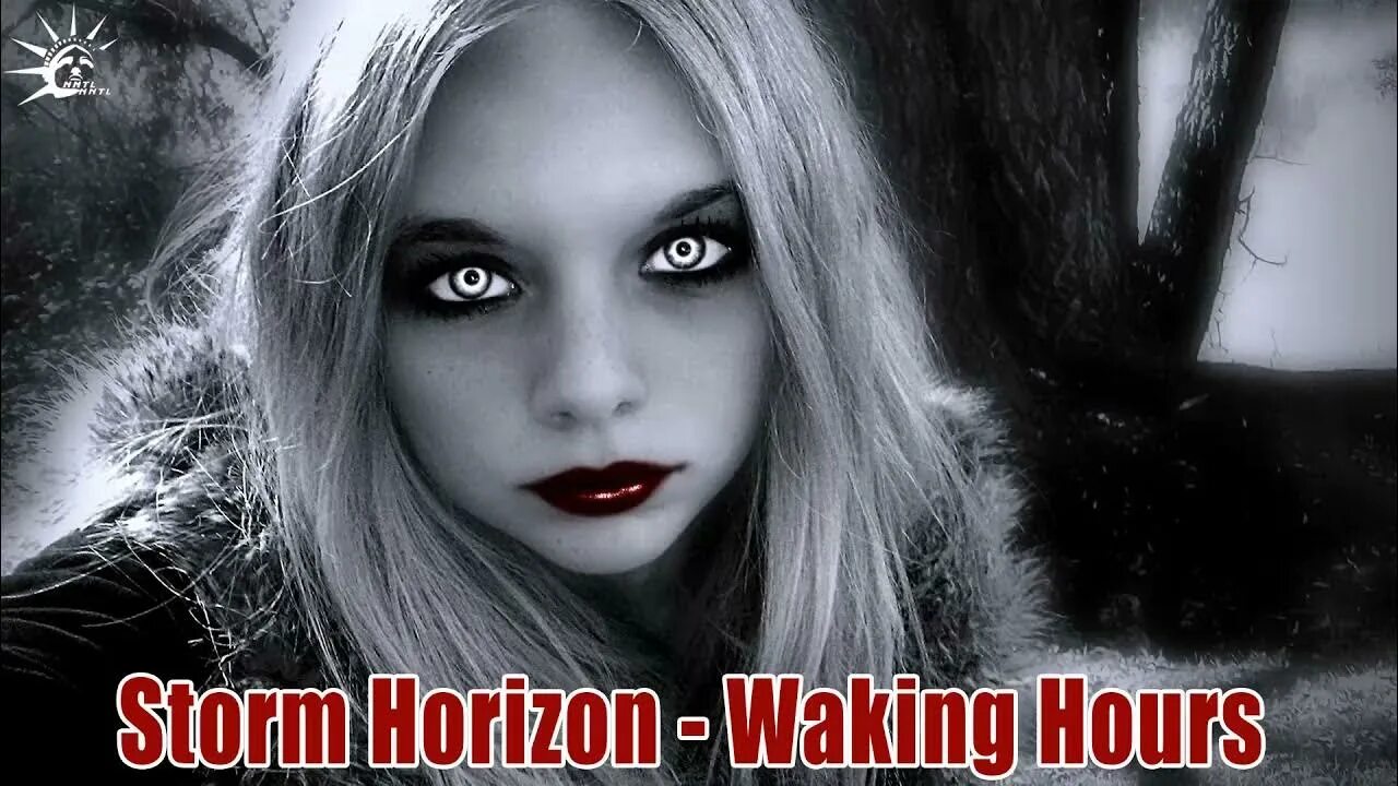 Missing vampire