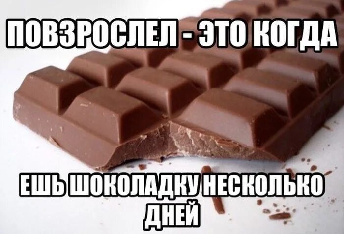 высказывания про шоколад. про шоколадку прикольный. смешной шоколад. шутки про шоколад. про шоколадку прикольный.