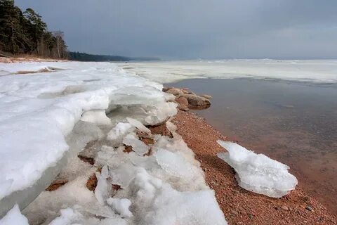 Чудское озеро апрель