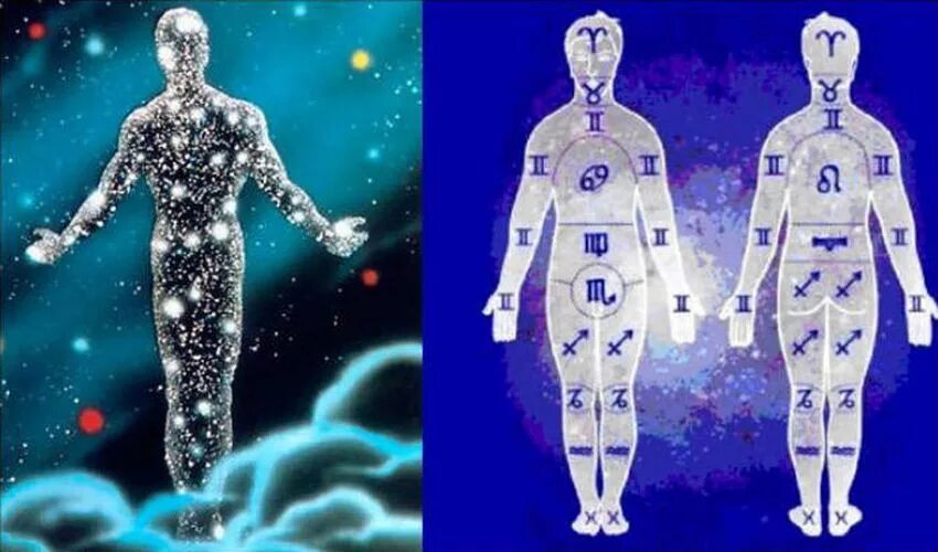 Знаки зодиака на теле человека. Зоны знаков зодиака на теле. Зодиак и части тела. Астрология медицинская части тела.