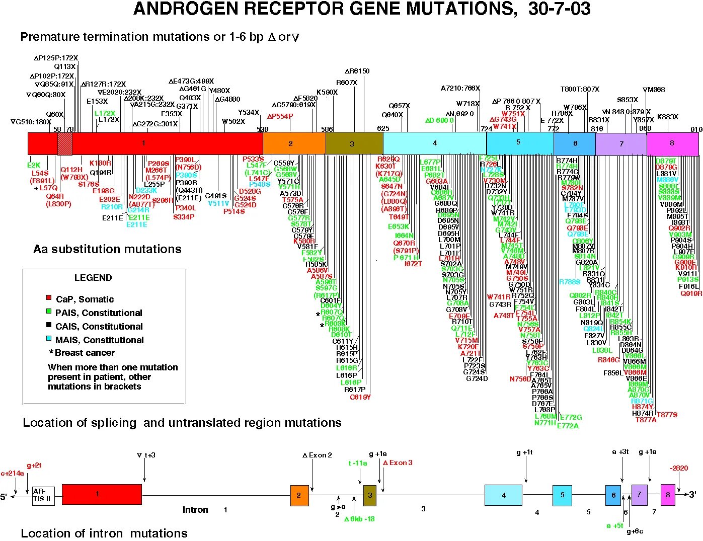 R p l/s. Что такое p l отчетность. P l p b. P l p b. P l p b.