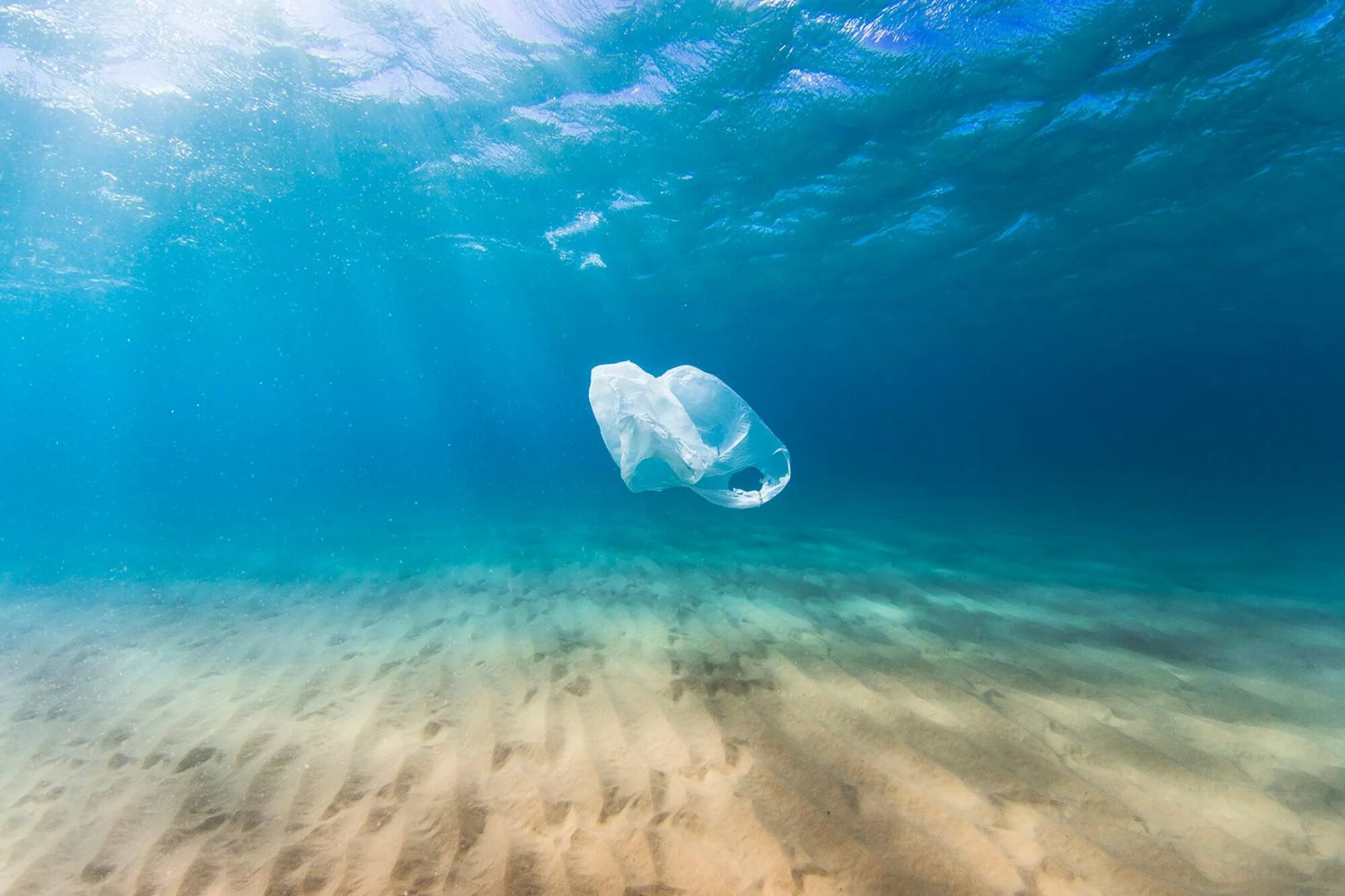 Ocean float. Ocean float