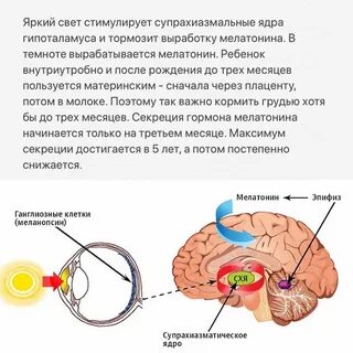 Процедура бак