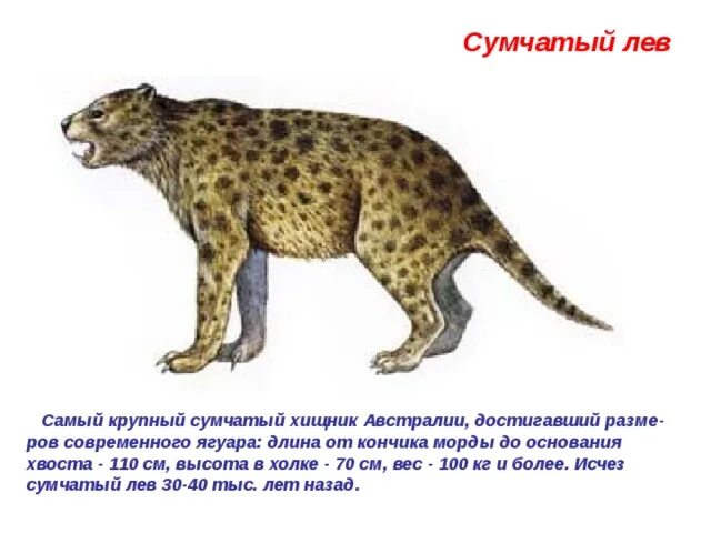 Картинки ВЫМЕРШИЕ ЖИВОТНЫЕ ЗАНЕСЕНЫ