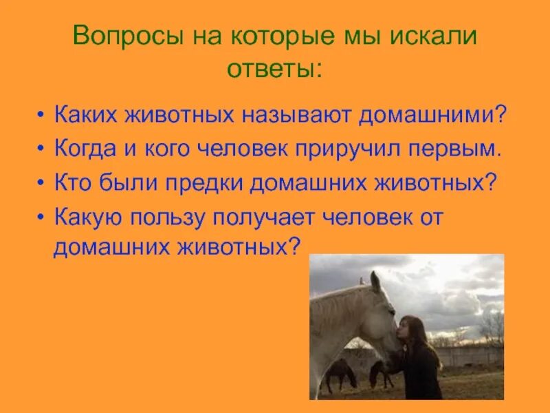 Люди ведут себя как животные как называется. Почему люди приручают животных. Почему люди приручали диких животных. Приручение животных. Каких животных приручил человек.