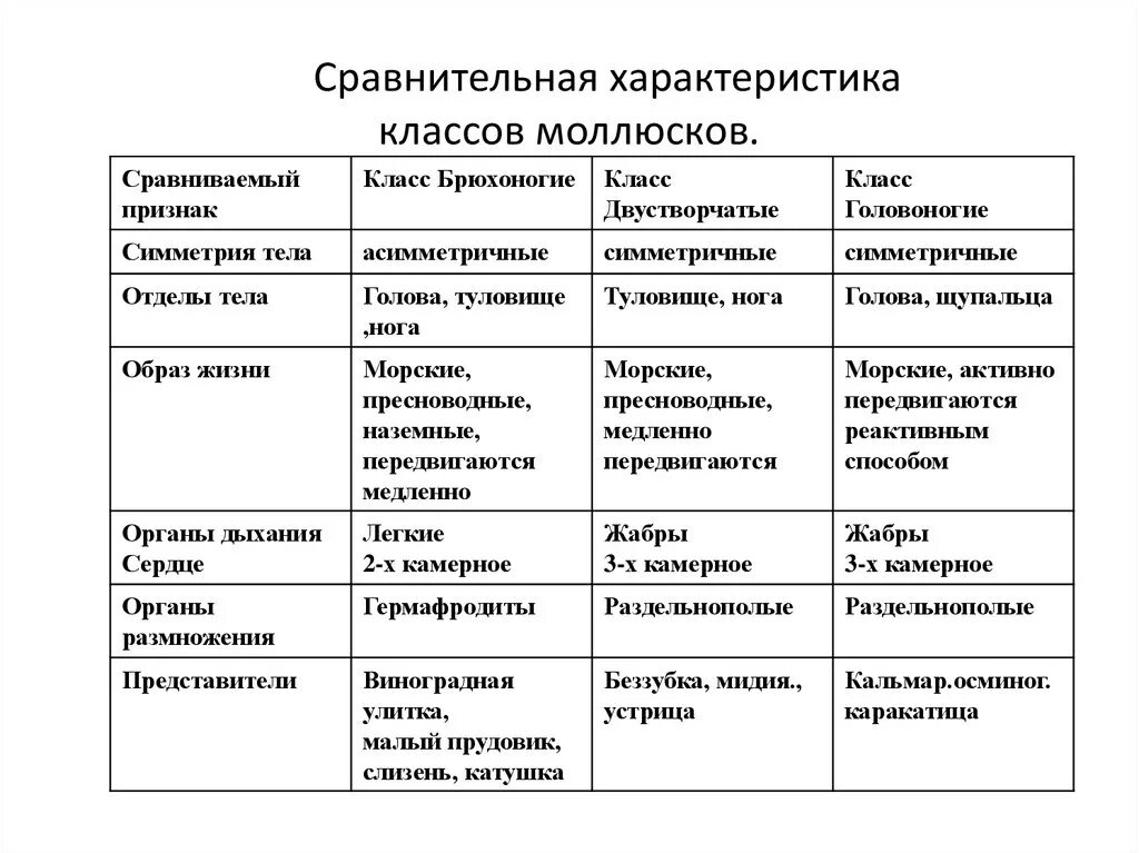 Тип моллюски брюхоногие двустворчатые головоногие. Характеристика типа моллюски 7 класс биология таблица. таблица тип моллюски 7 класс биология. таблица головоногие моллюски 7 класс биология. характеристика класса моллюсков биология 7 класс таблица.