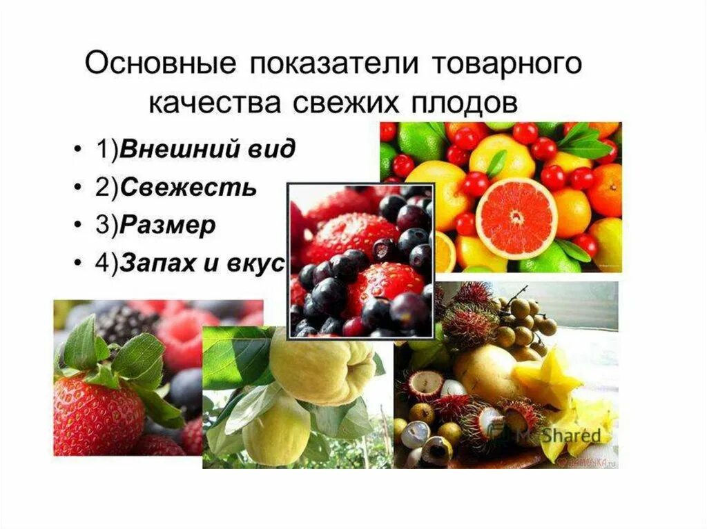 Оценка качества основных продуктов