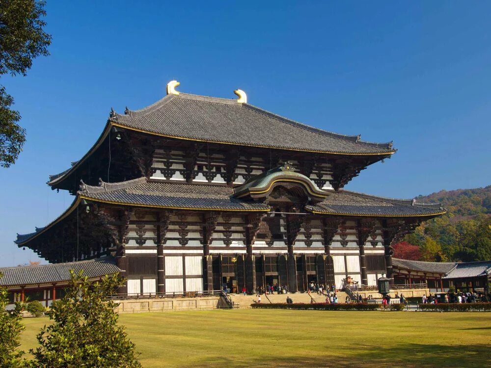 Самое большое деревянное здание. Храм Тодайдзи в городе Нара. Храм Тодайдзи Япония. Храм Дайбуцудэн монастыря Тодайдзи. Храм Тодайдзи Будда.