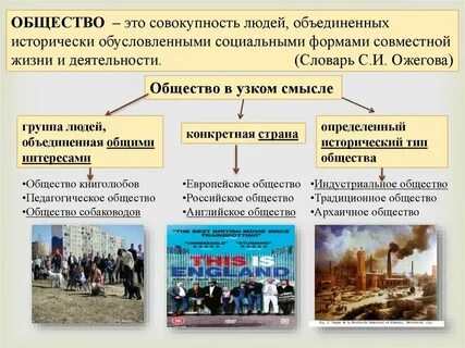 Совокупность людей объединенных общими интересами это
