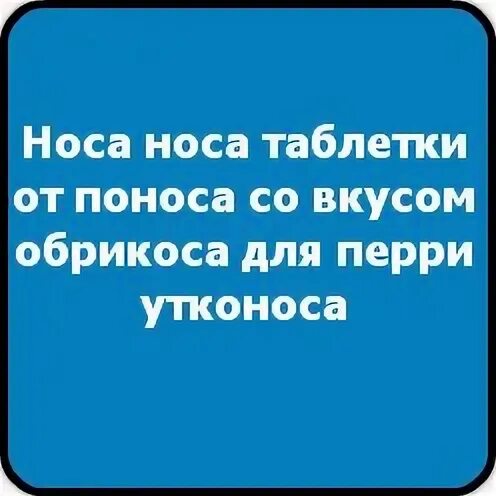 Носа таблетки от поноса. Носа носа таблетки от поноса. Носа носа таблетки от поноса со вкусом абрикоса для Перри утконоса. Носа носа таблетки от поноса со вкусом абрикоса.