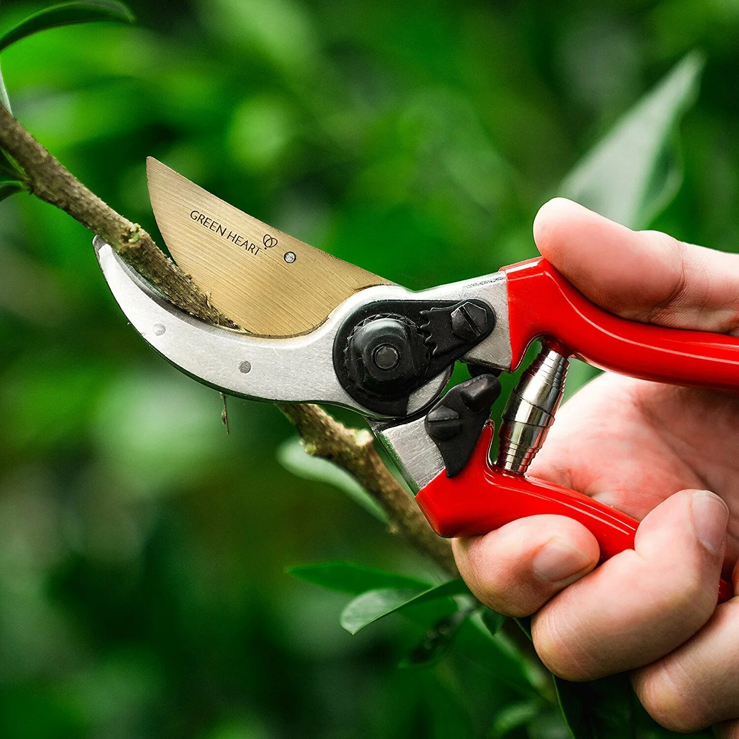 Ножницы для обрезки деревьев. Секатор pruning shears. секатор gr6201. секатор garden tools. ножницы садовые pruning shear.