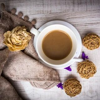 Coffee flower
