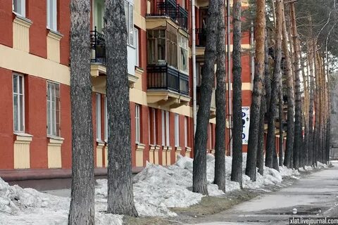 Погода в академгородке сейчас