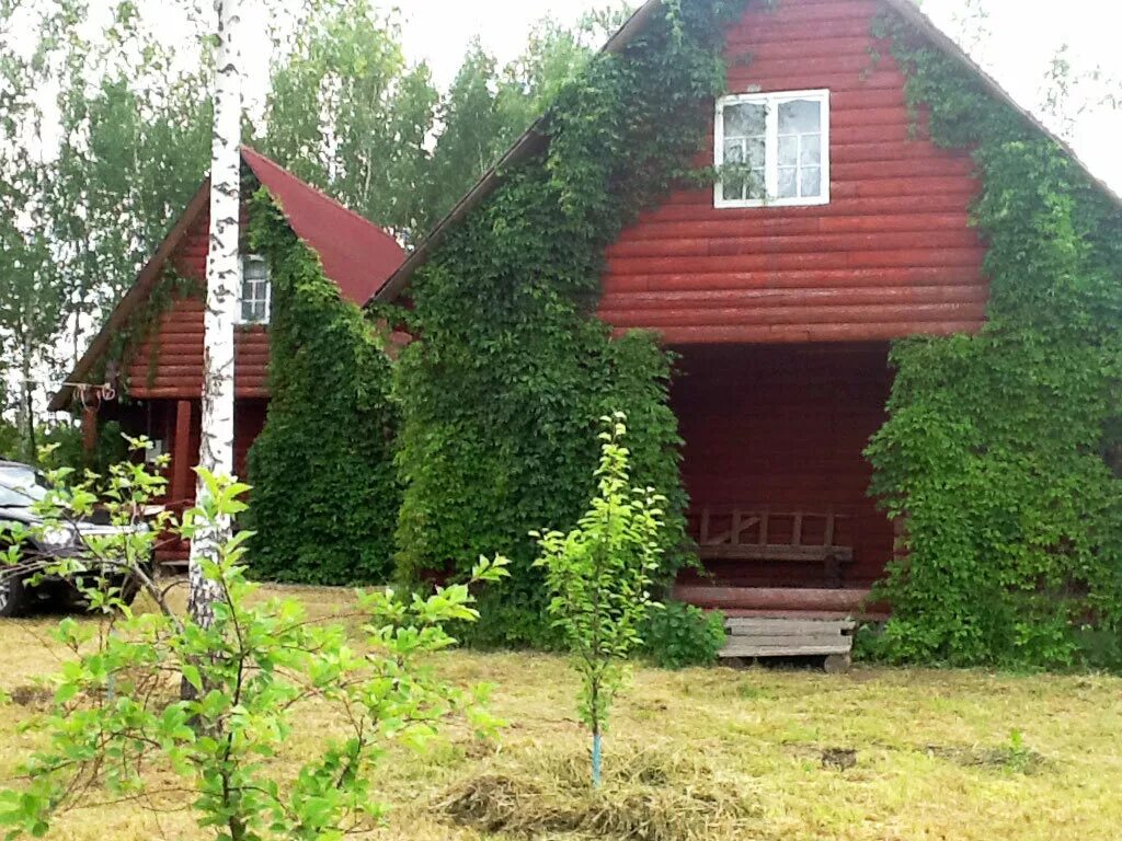 снт системы