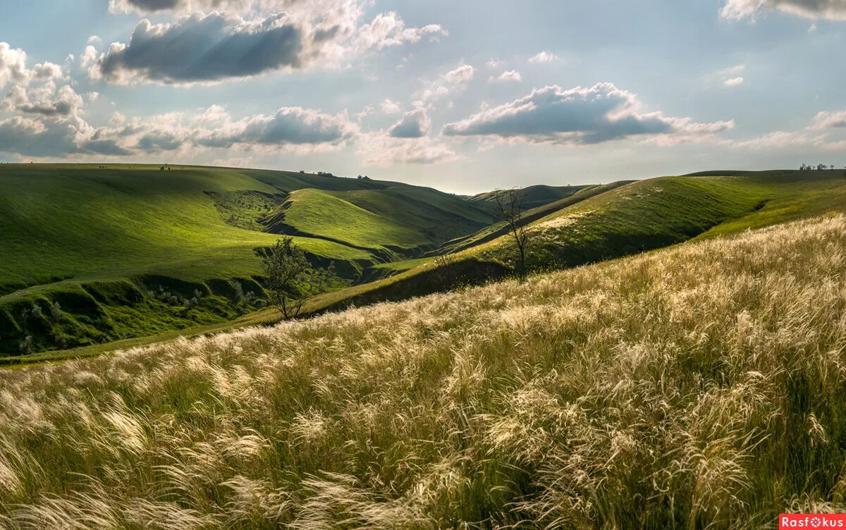 ставрополь на возвышенности. мировые участки ставропольского края. мировые участки ставропольского края. степная растительность ставропольский край. мировые участки ставропольского края.