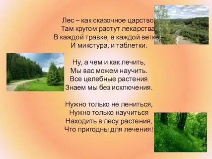 Стих животные леса
