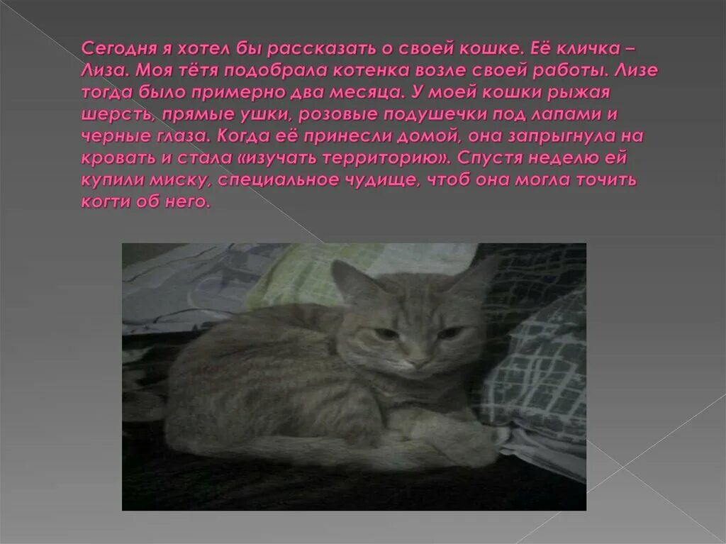 Я хочу рассказать о кошке 2