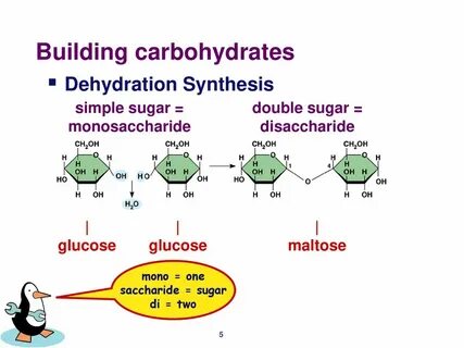 Property synthesis