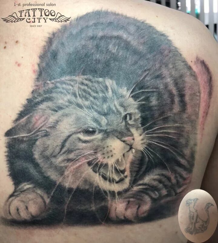 тату сити орел