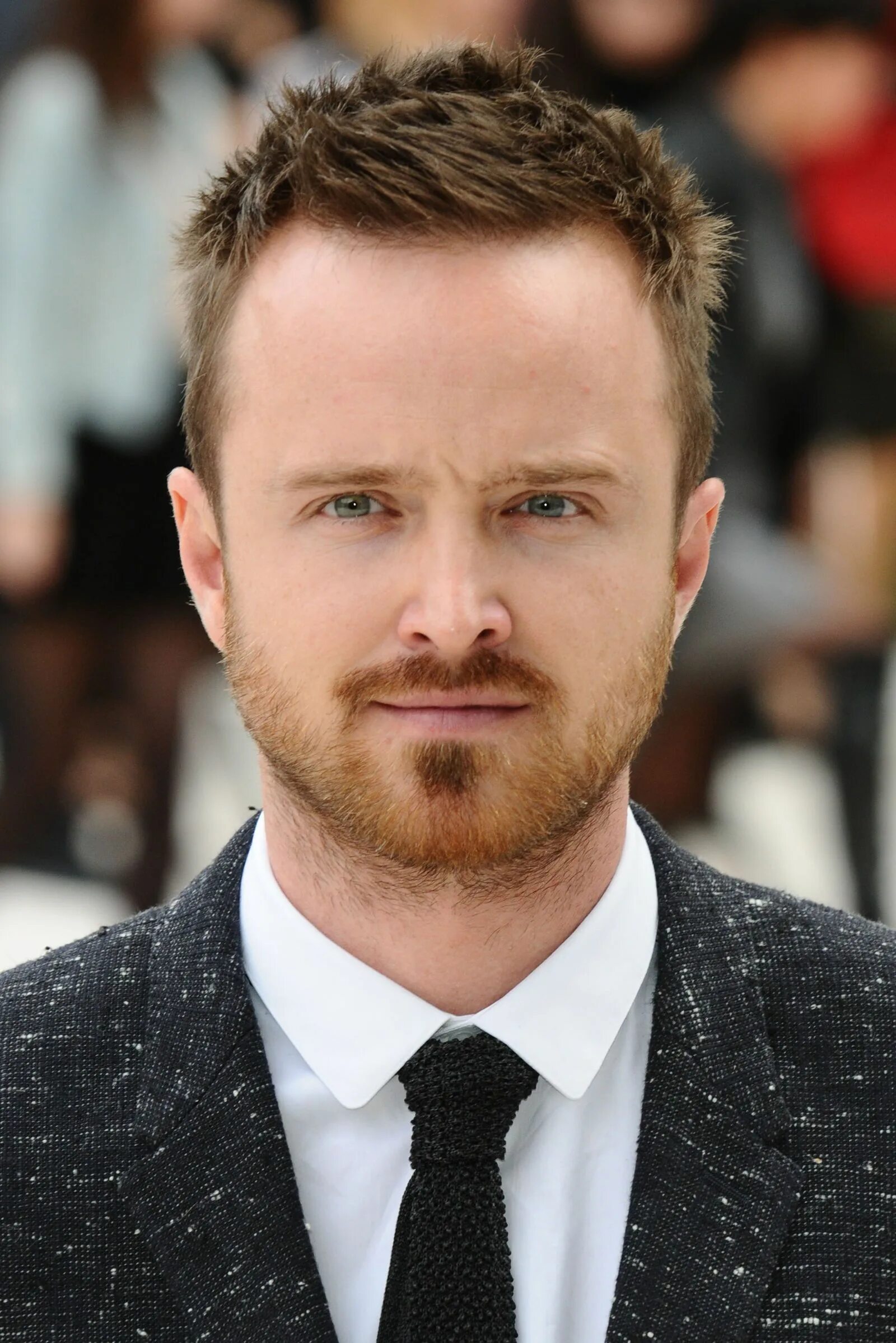 Aaron Paul Hairline. Прически для мужчин с высоким лбом. Короткие мужские стрижки высокий лоб. Мужские стрижки с высоким лбом.