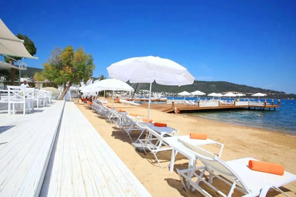 Торба Бич Бодрум. Пляж торба Бодрум. Voyage torba Bodrum пляж. Турция отель Bodrum Beach Club Hotel 5.