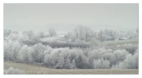 Winter gallery