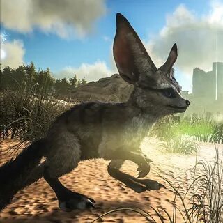 Ark jerboa