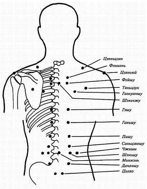 Точечный массаж спины. Акупунктурные точки массаж спины. Точечный массаж спины схема. Точечный массаж спины схема точек. Точки акупунктуры на спине.