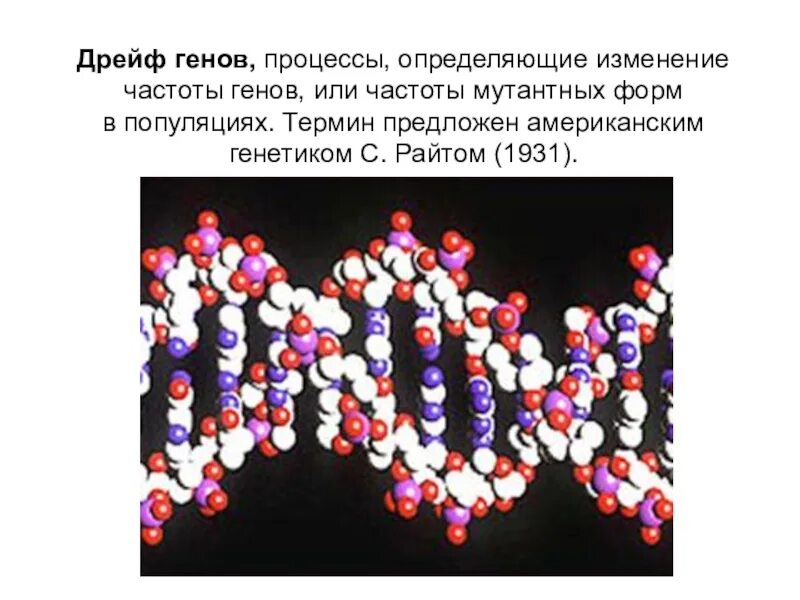 Дрейф генов. Дрейф генов картинки. Дрейф генов фактор эволюции. Эффекты дрейфа генов. Ген биология 9 класс