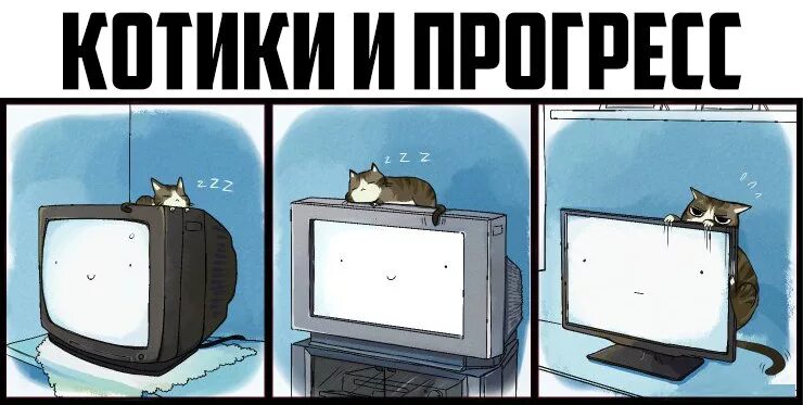 Смешной телевизор. Кот и телевизор. Кот телевизор Мем. Мемы про телевизор.