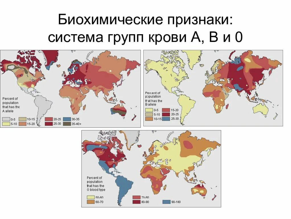 Распределение по группам крови в мире. Распределение групп крови по миру карта. Группы крови по распространению в мире. Распределение групп крови по регионам. Сколько в мире групп крови