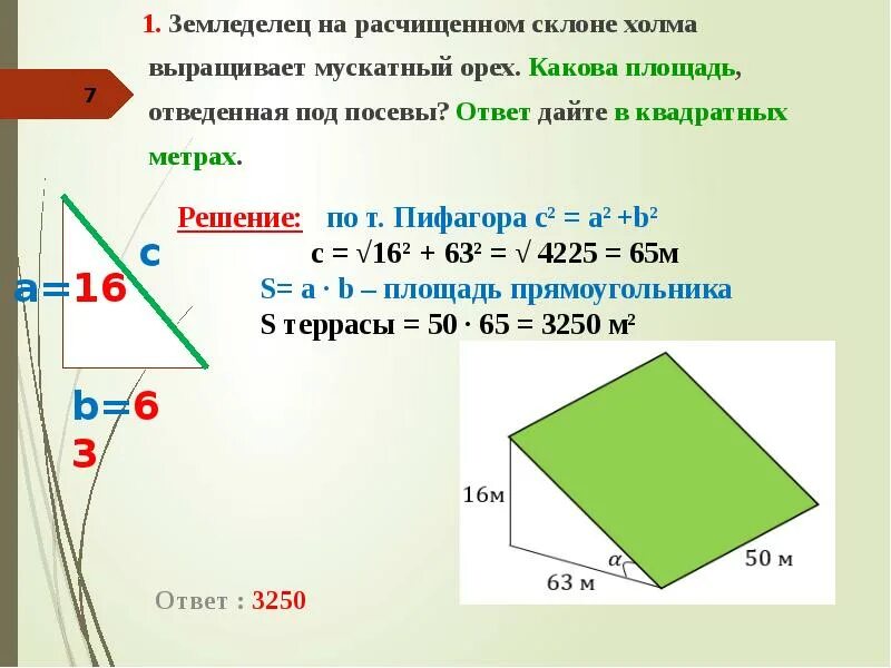 Земледелец на расчищенном склоне выращивает. Площадь наклонного участка. какова площадь отведенная под посевы. земледелец на расчищенном склоне холма. землевладелец на расчищенном склоне холма выращивает мускатный орех.